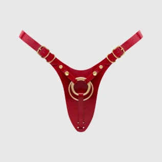 Трусики для страпона Strap-On-Me Leatherette Harness Fabulous - One Size - Глянцевий 13 Трусики для страпона Strap-On-Me Leatherette Harness Fabulous - One Size - Глянцевий - Зображення 3