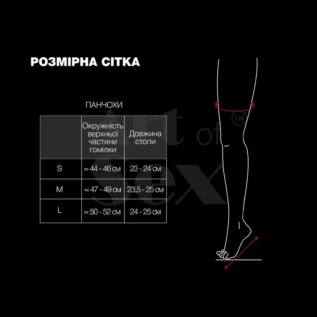 Панчохи в дрібну сітку з коронкою Art of Sex - Rose - Зображення 4