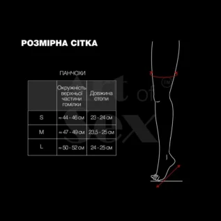 Зображення Лаковані панчохи зі шнурівкою Art of Sex - Mistress