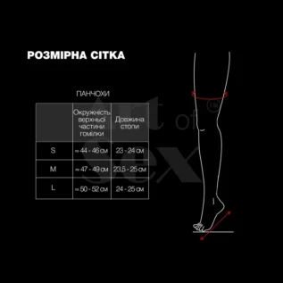 Панчохи в дрібну сітку з лакованою коронкою Art of Sex - Rose 9 Панчохи в дрібну сітку з лакованою коронкою Art of Sex - Rose - Зображення 4