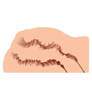 Зображення Мастурбатор-півторс Naked Factory LAURA, вагіна + анус, дуже реалістичний, наскрізний