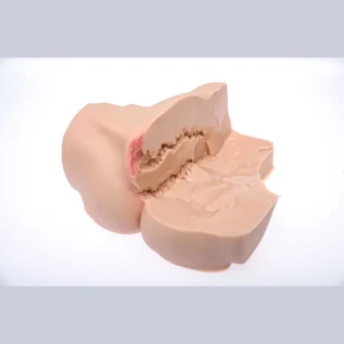 Зображення Мастурбатор-півторс Naked Factory LAURA, вагіна + анус, дуже реалістичний, наскрізний