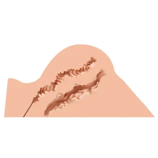 Alternative view of Мастурбатор-попа Naked Factory HANNAH, вагіна + анус, дуже реалістичний, наскрізний