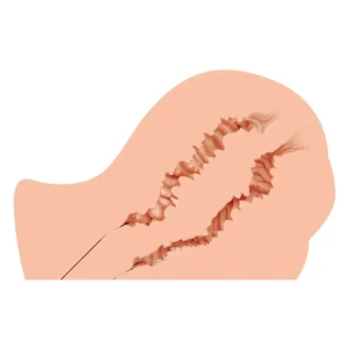 Зображення Мастурбатор-попка Naked Factory NICOLE, вагіна + анус, дуже реалістичний, наскрізний