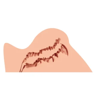 Зображення Мастурбатор Naked Factory TRISHA B TYPE, виражені статеві губи, вагіна + анус, дуже реалістичний