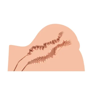 Зображення Мастурбатор-попка Naked Factory KATE, вагіна + анус, дуже реалістичний, наскрізний