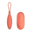 Віброяйце з дистанційним управлінням Dream Toys CHARISMATIC CELIA
